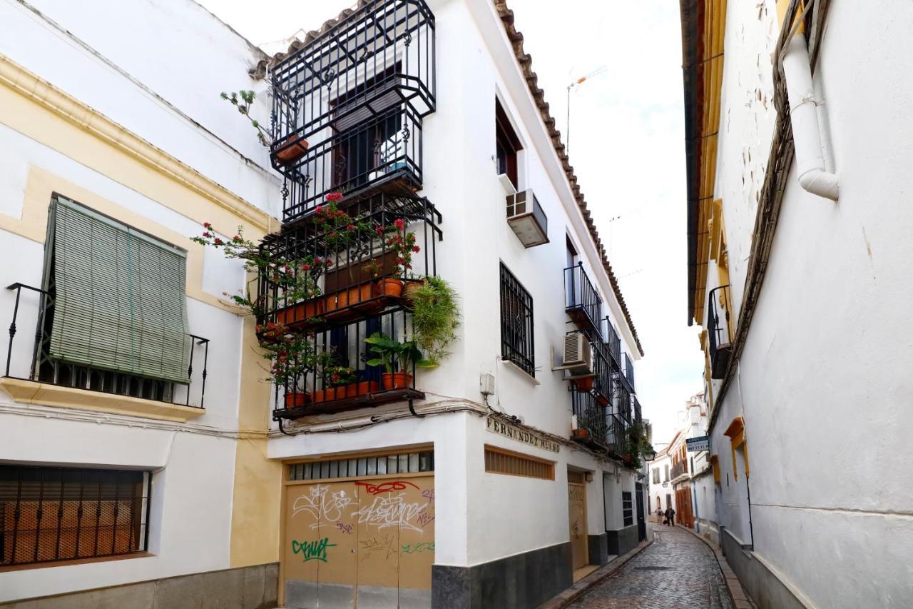 Zafiro Apartment&parking In The Historical Centre Apartment